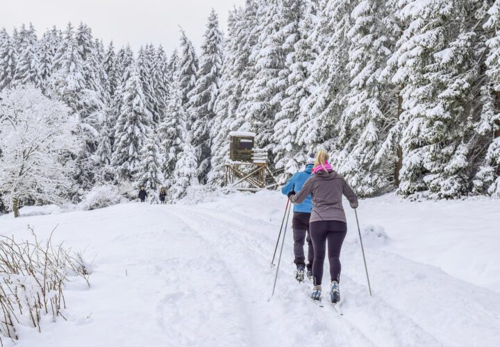 A couple doing cross country skiing