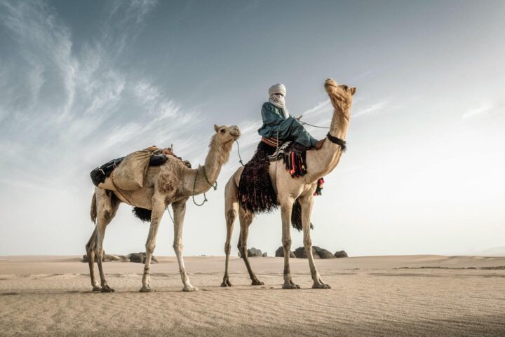 A bedouin riding his camel through the desert