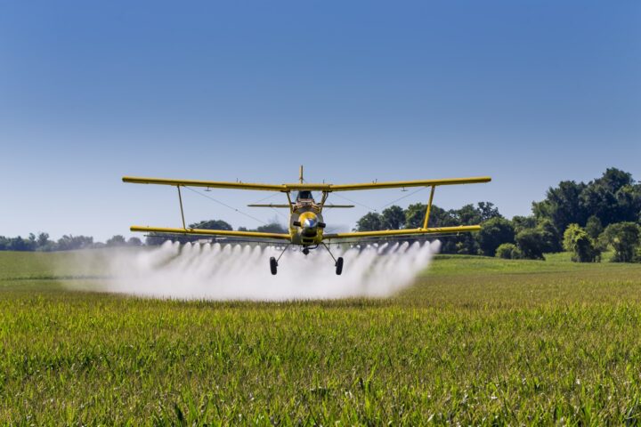 A plane spraying pesticides on a GMO corn field